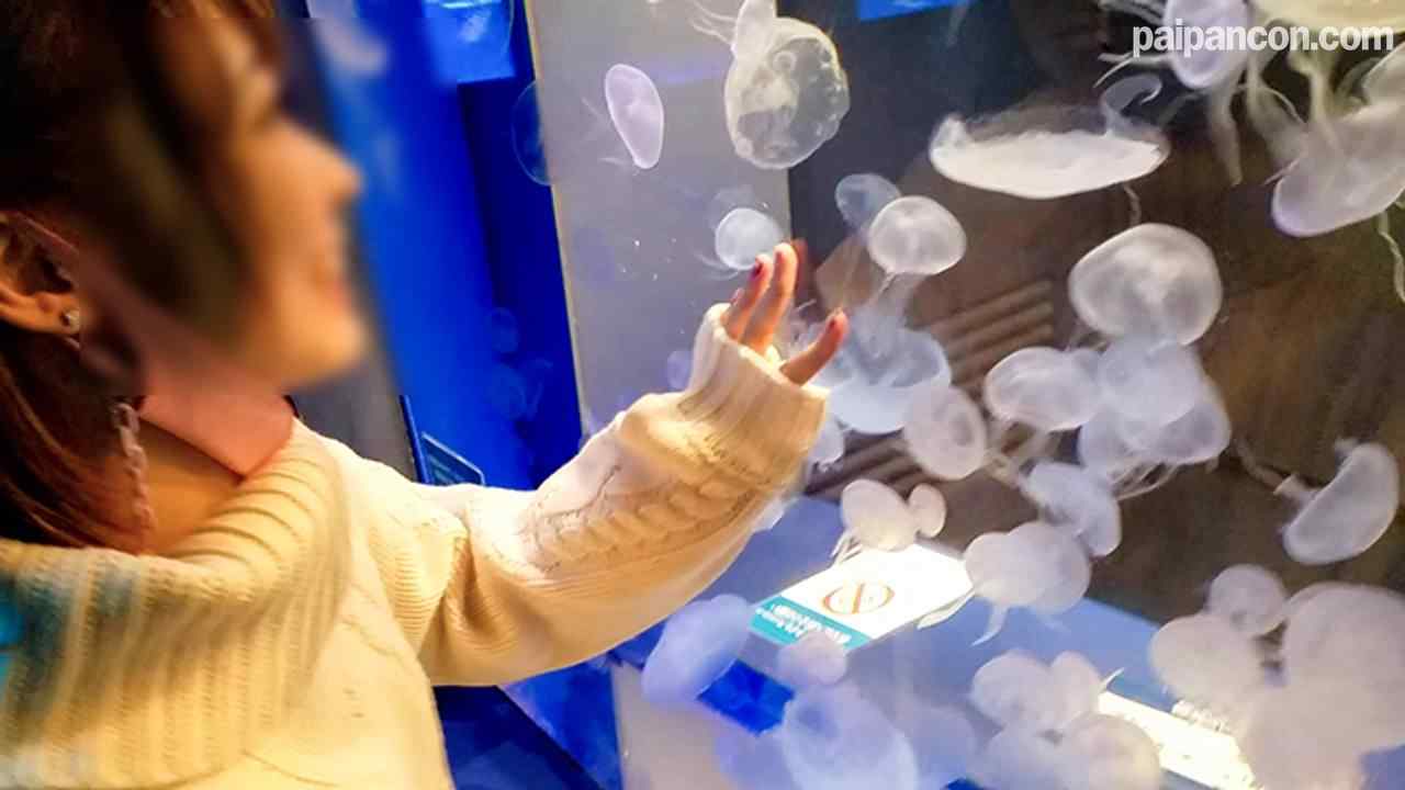 FC2-PPV-1652235 - ［**東●大学生］［身バレ即削除］2年生 高嶺の花K.　勉強以外奥手で引っ込み思案な美女がイケメンに口説かれ、初のハメ撮り　データ流出［高画質DL有］ thumbnail_3.jpg