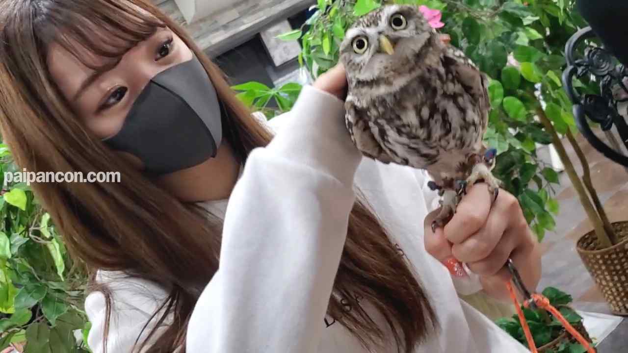 FC2-PPV-1794863 - 【初撮影】カフェで出会ったJDに中出し（前編）