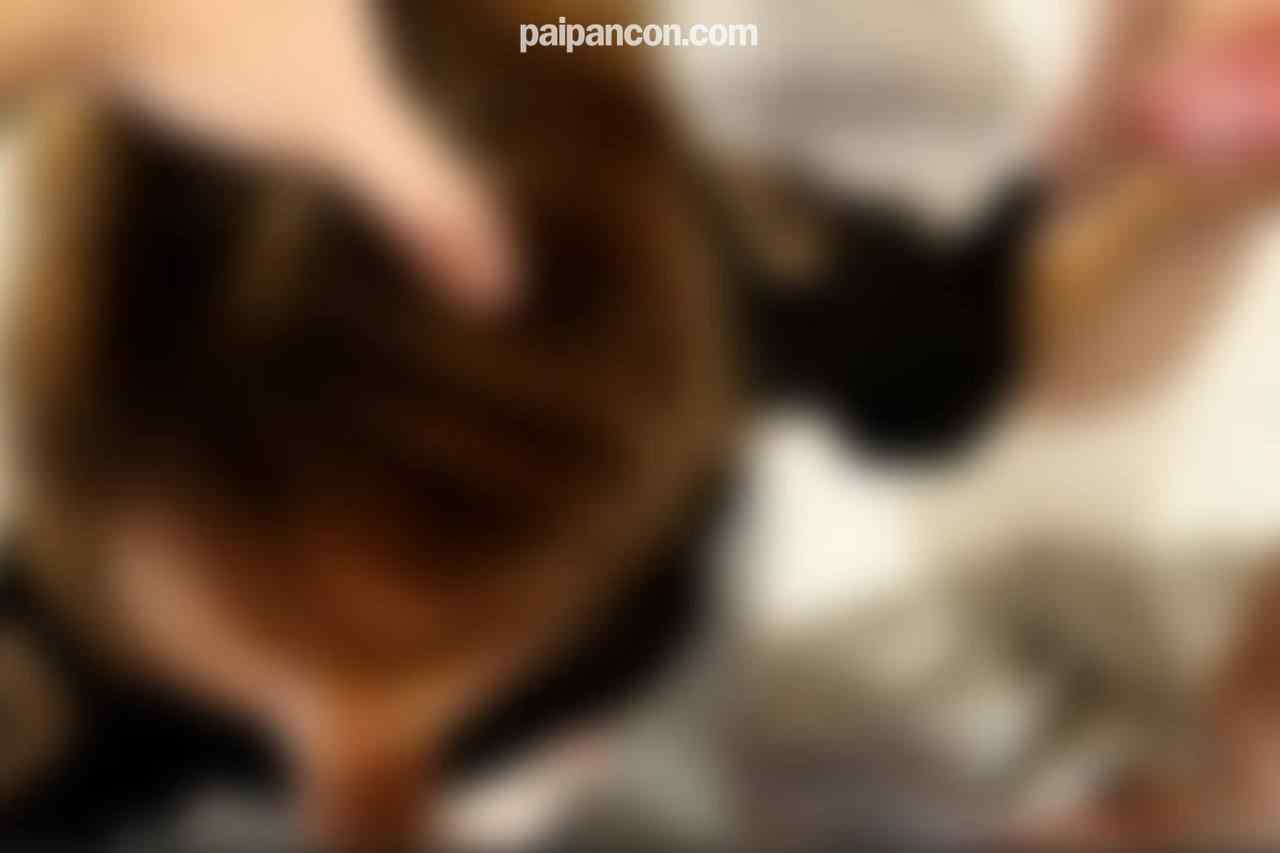 FC2-PPV-4577695 - ※12/2まで80％OFF※【顔出し】【３ｐ】【中出し】返済を頑張っていた人妻ですが、ここのところ遅れがちになってきたので、３ｐで激しめにオカしてもらいました thumbnail_1.jpg