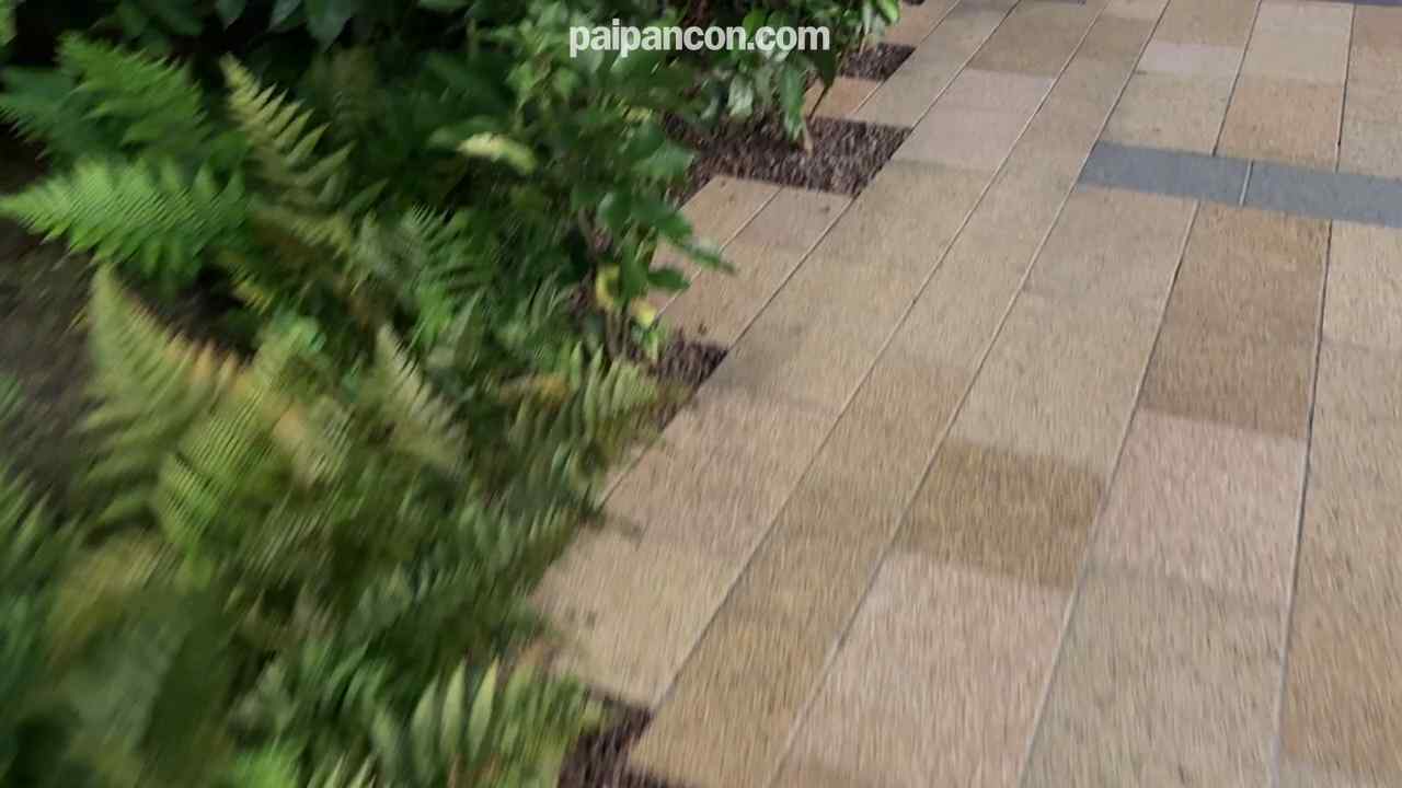 FC2-PPV-4783770 - 【新人研修】ブラジリアンワックスモニターで射精してきましたw【女性2人の前でちんぽ露出】【CFNM】 thumbnail_1.jpg