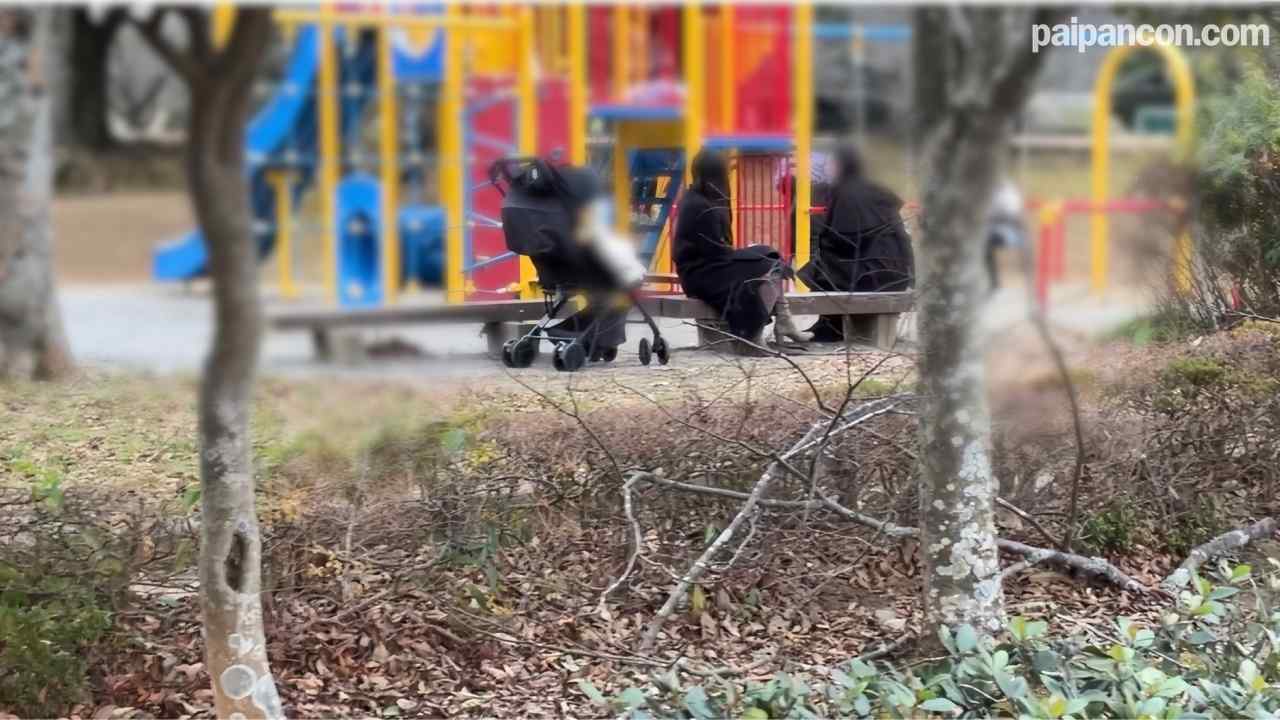 FC2-PPV-4821039 - 【個人】**友とお〇さんと公園で遊んでいた自称インフルエンサーの奥さんを連れ出し車の中で...～12月31日特典削除 thumbnail_0.jpg